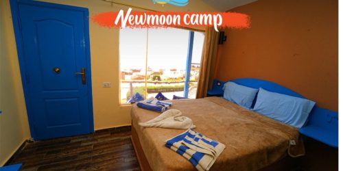 Screenshot_20260101_121621_WhatsApp