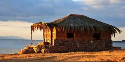 WhatsApp Image 2026-01-19 at 14.48.28