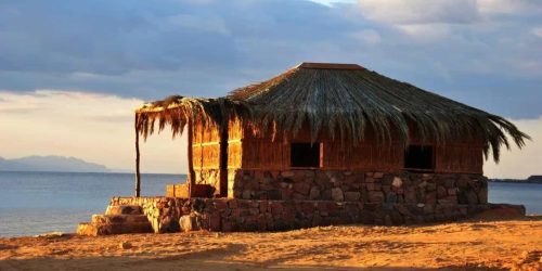 WhatsApp Image 2026-01-19 at 14.48.28